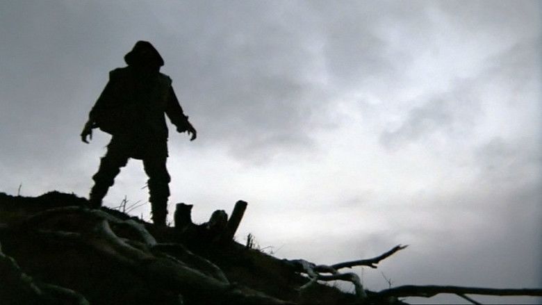 Vigil, une nature sauvage et belle